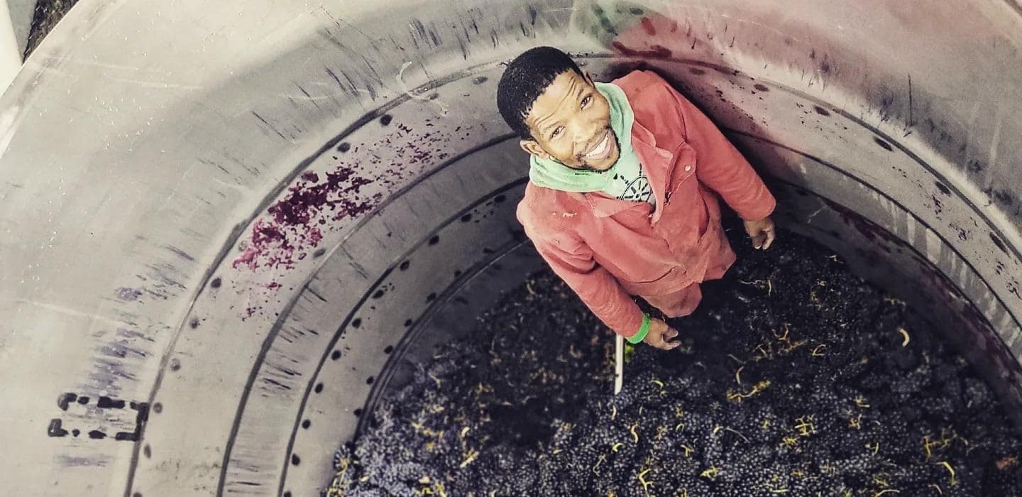 South Africa Wine Cellar Assistants' Programme 2024